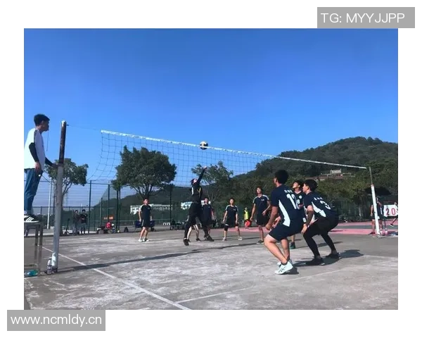 深圳排球队的拼搏之路：世锦赛背后的奋斗与荣耀